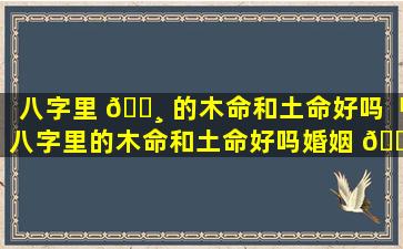 八字里 🌸 的木命和土命好吗「八字里的木命和土命好吗婚姻 🌿 」